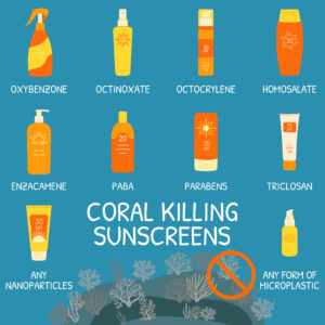 Sunscreen with endocrine disruptors that kill coral reef